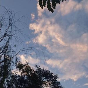 一人摸奶，一人操比
